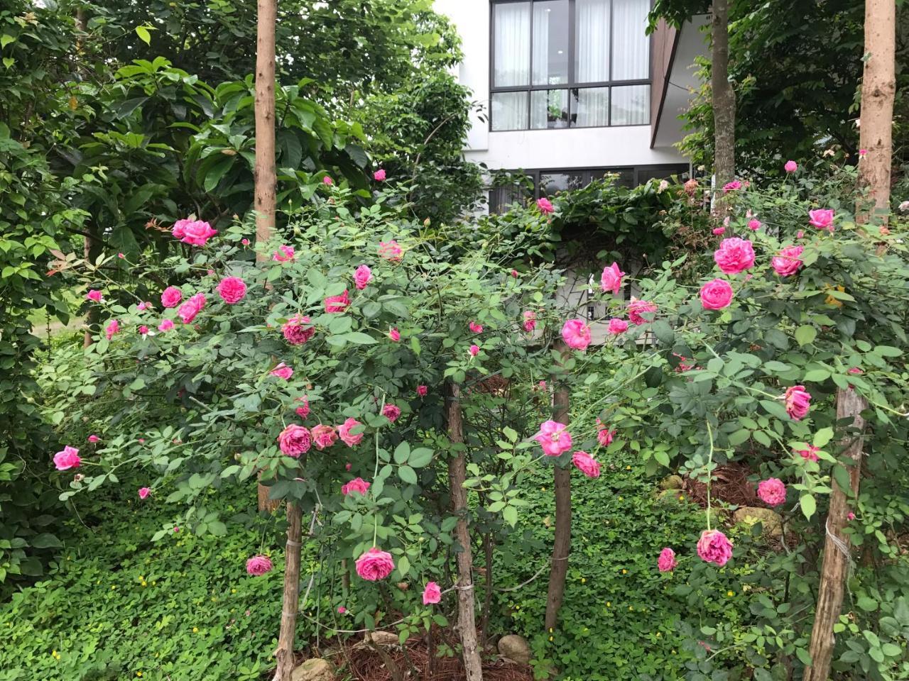 Flamingo Dailai - Hq Villa 응꾸앙 외부 사진